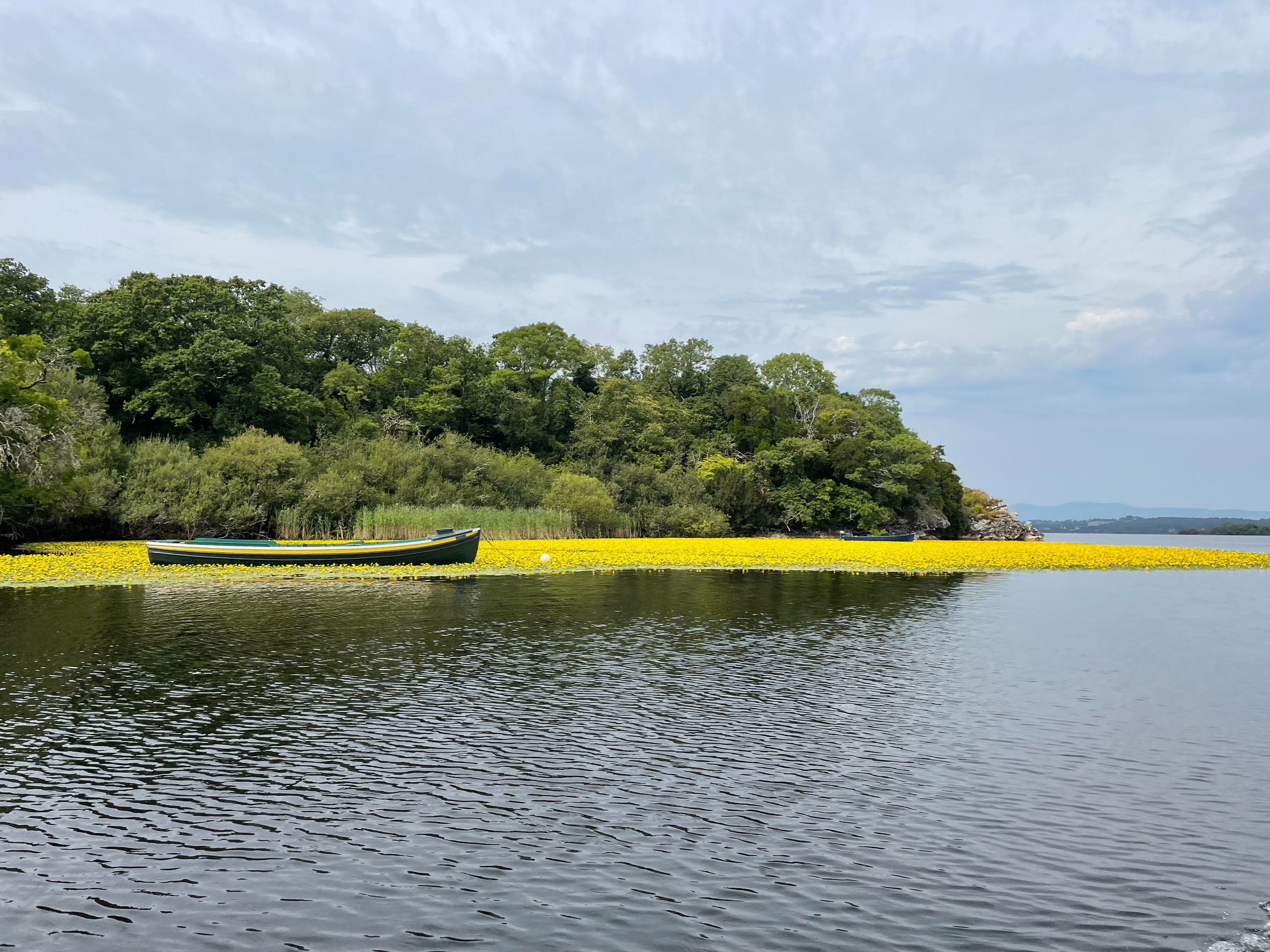 Lough Leane