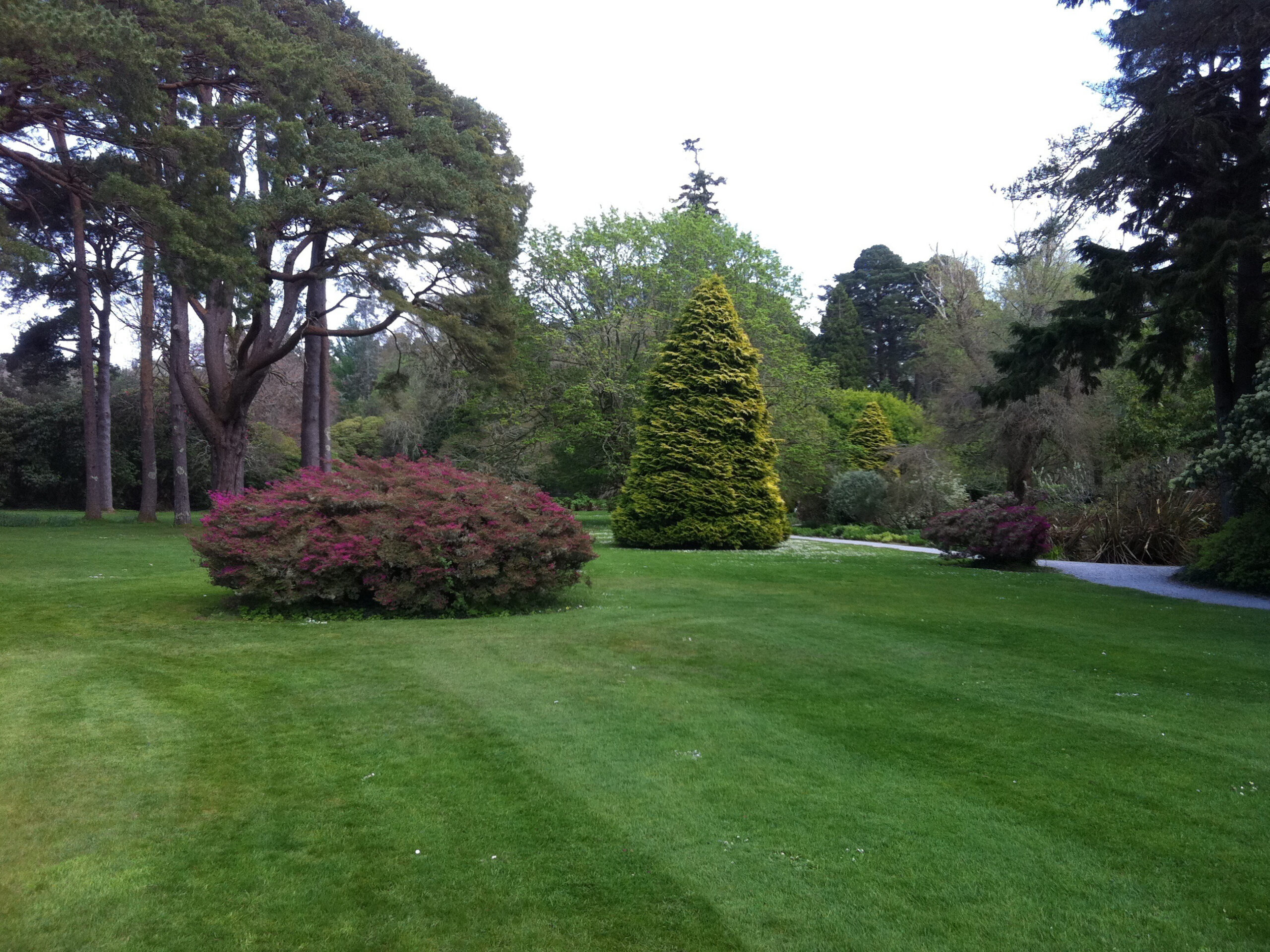 Muckross Gardens