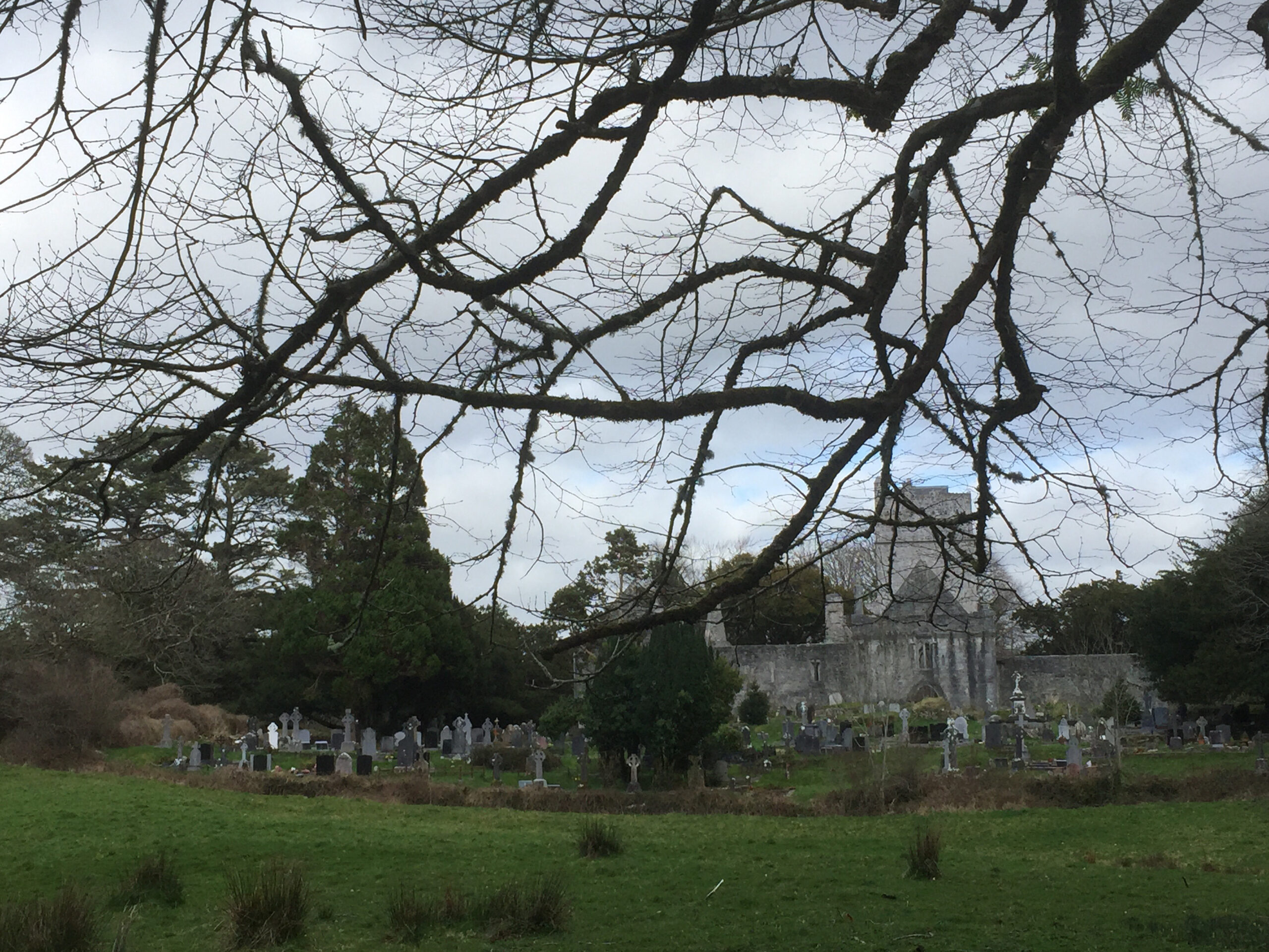 Muckross Abbey