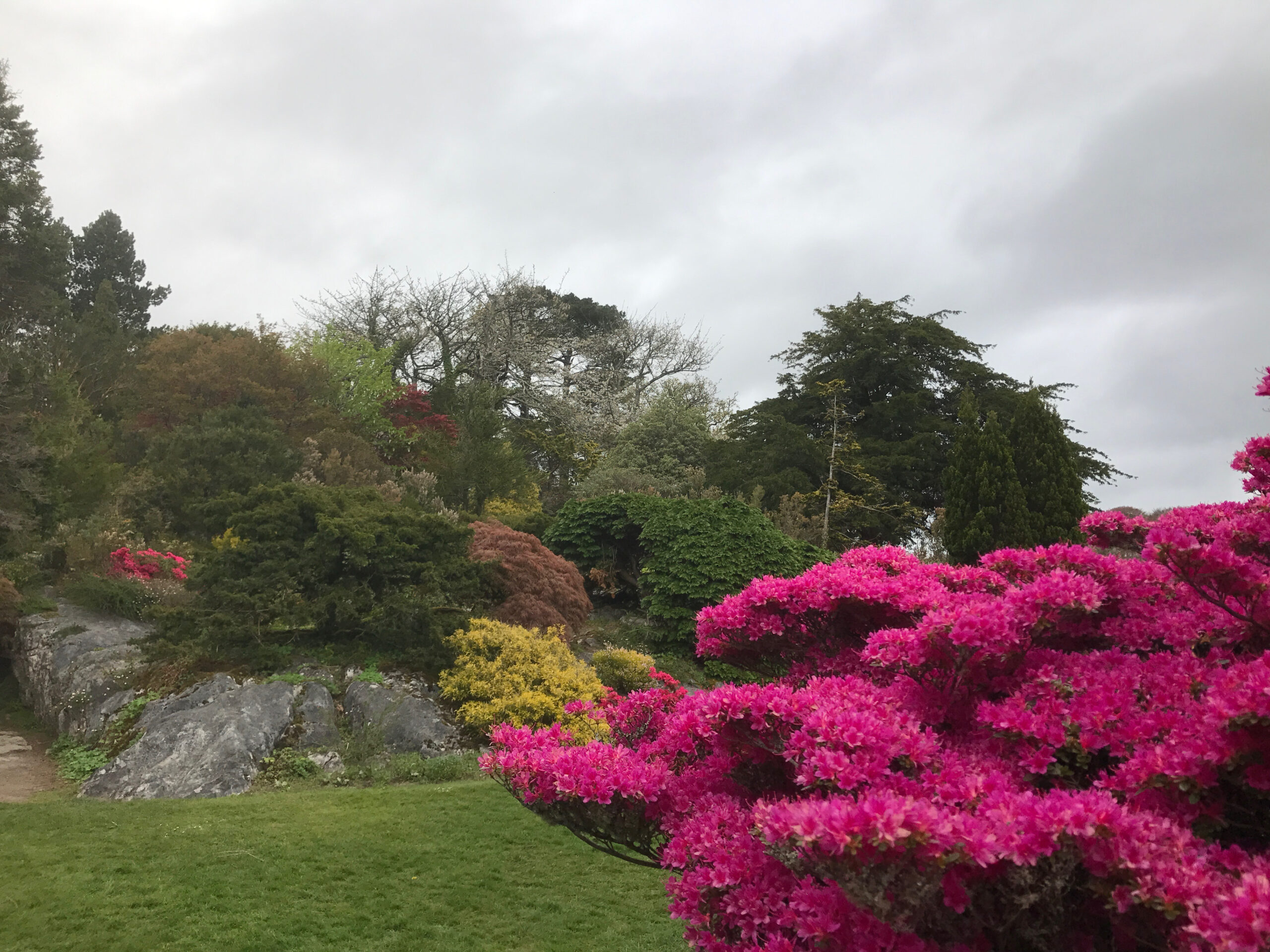 Muckross Gardens