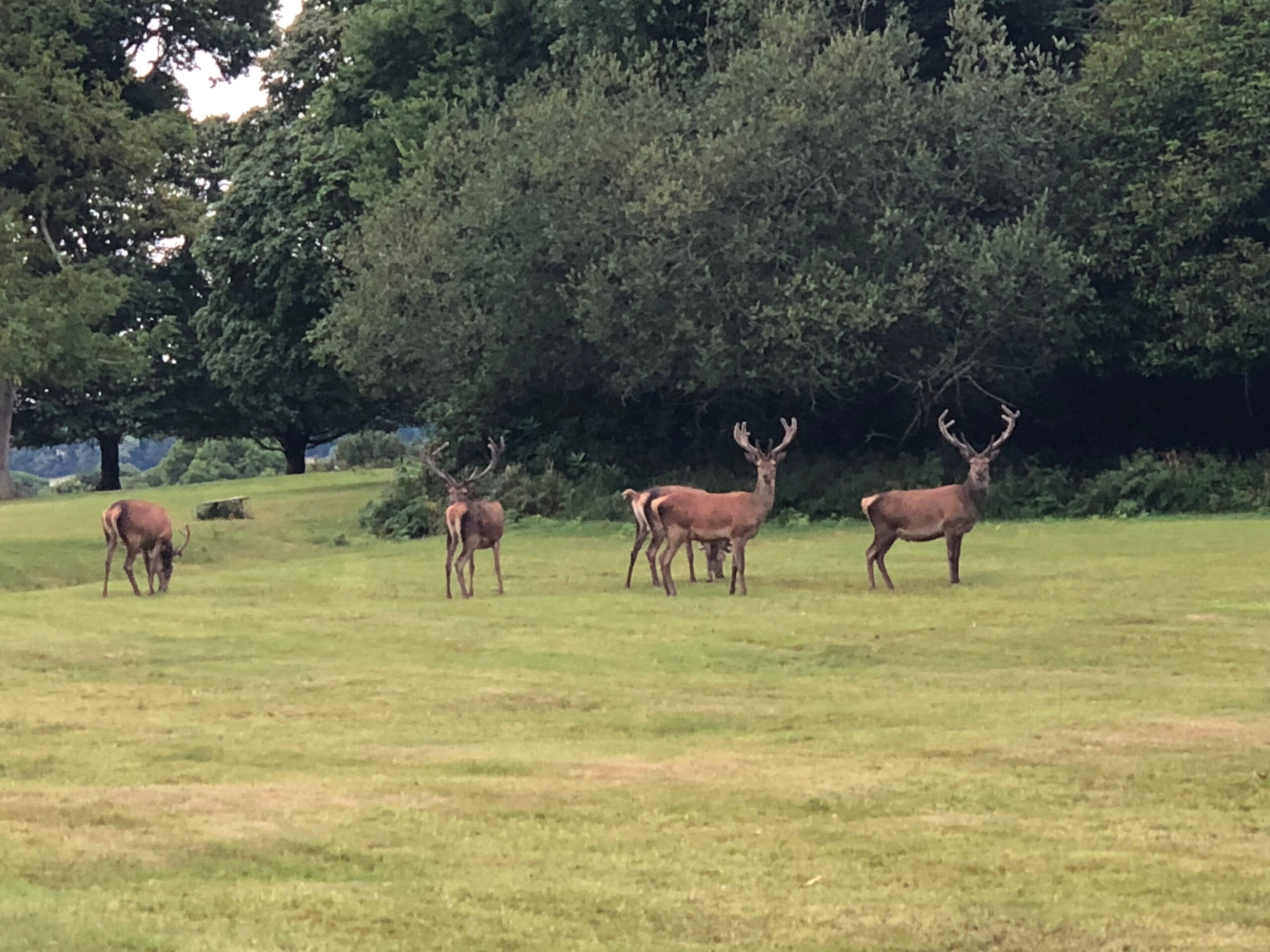 Killarney National Park