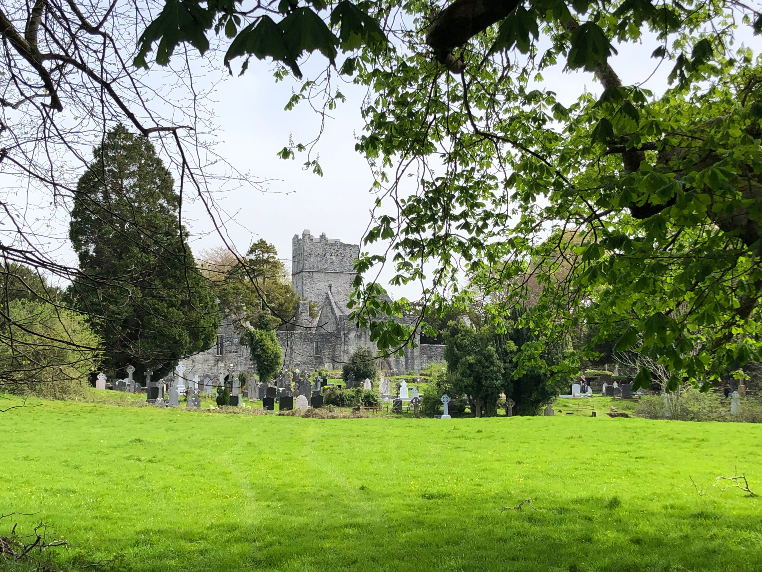 Muckross Abbey