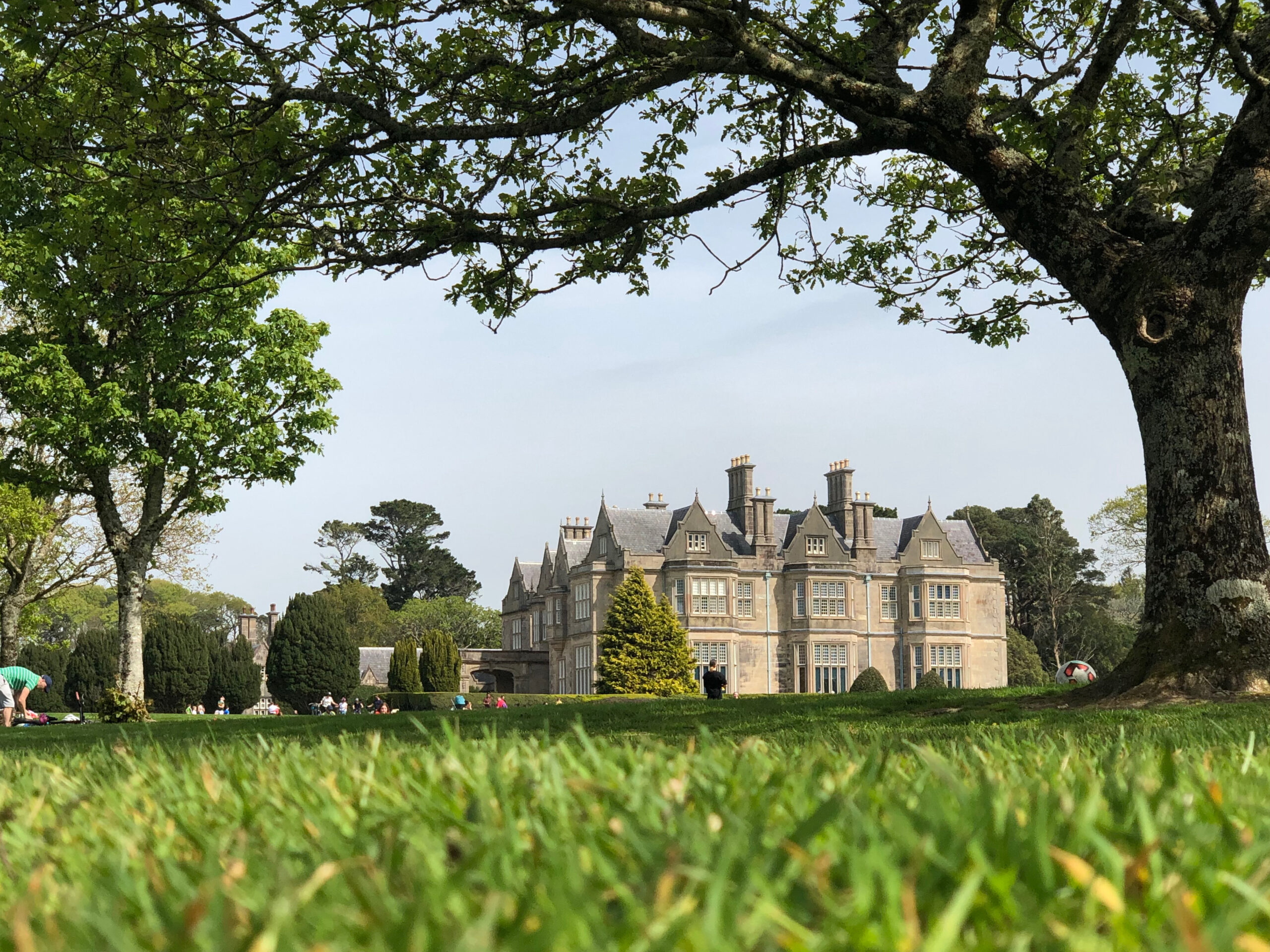 Muckross House