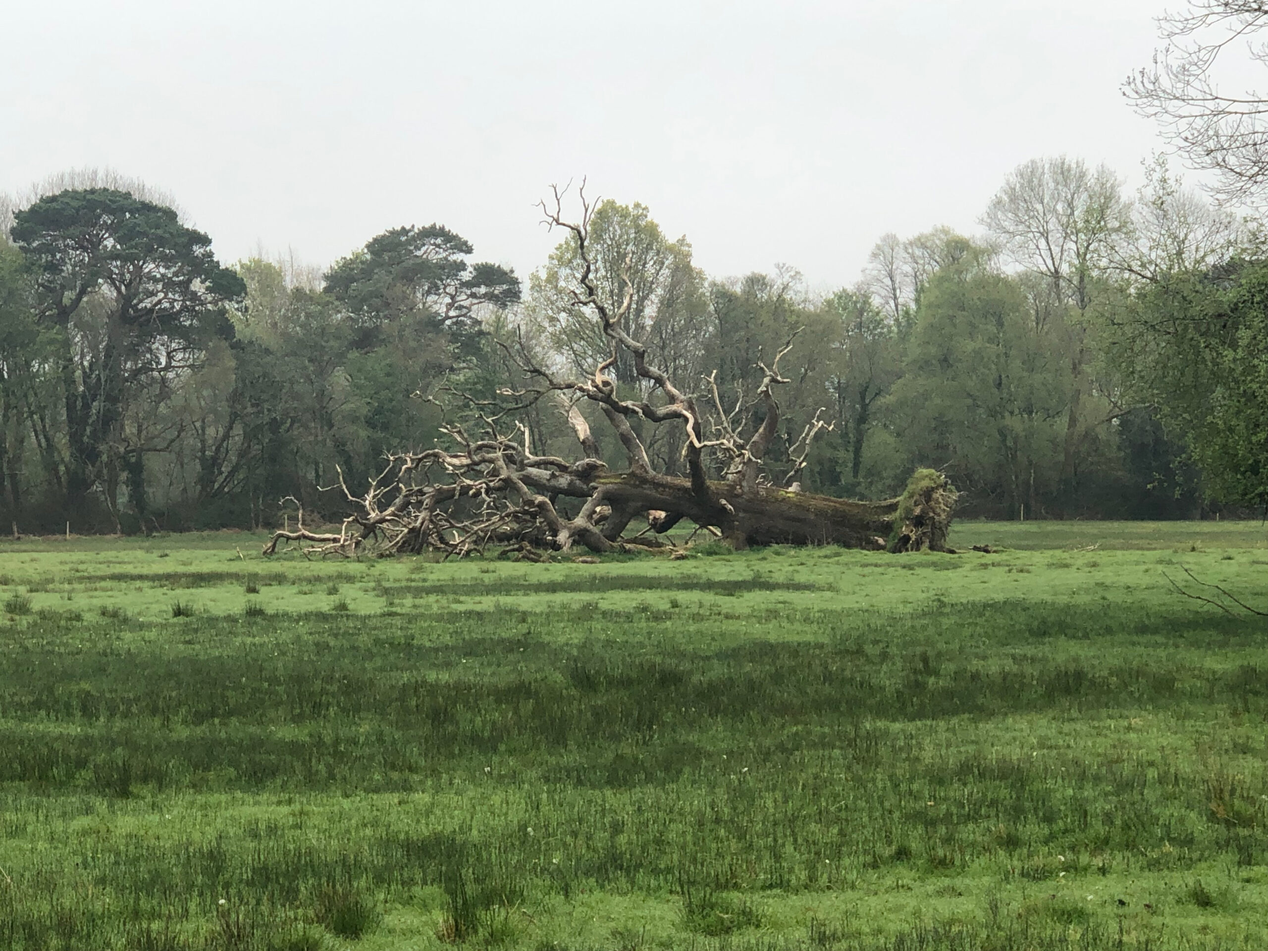 Killarney National Park