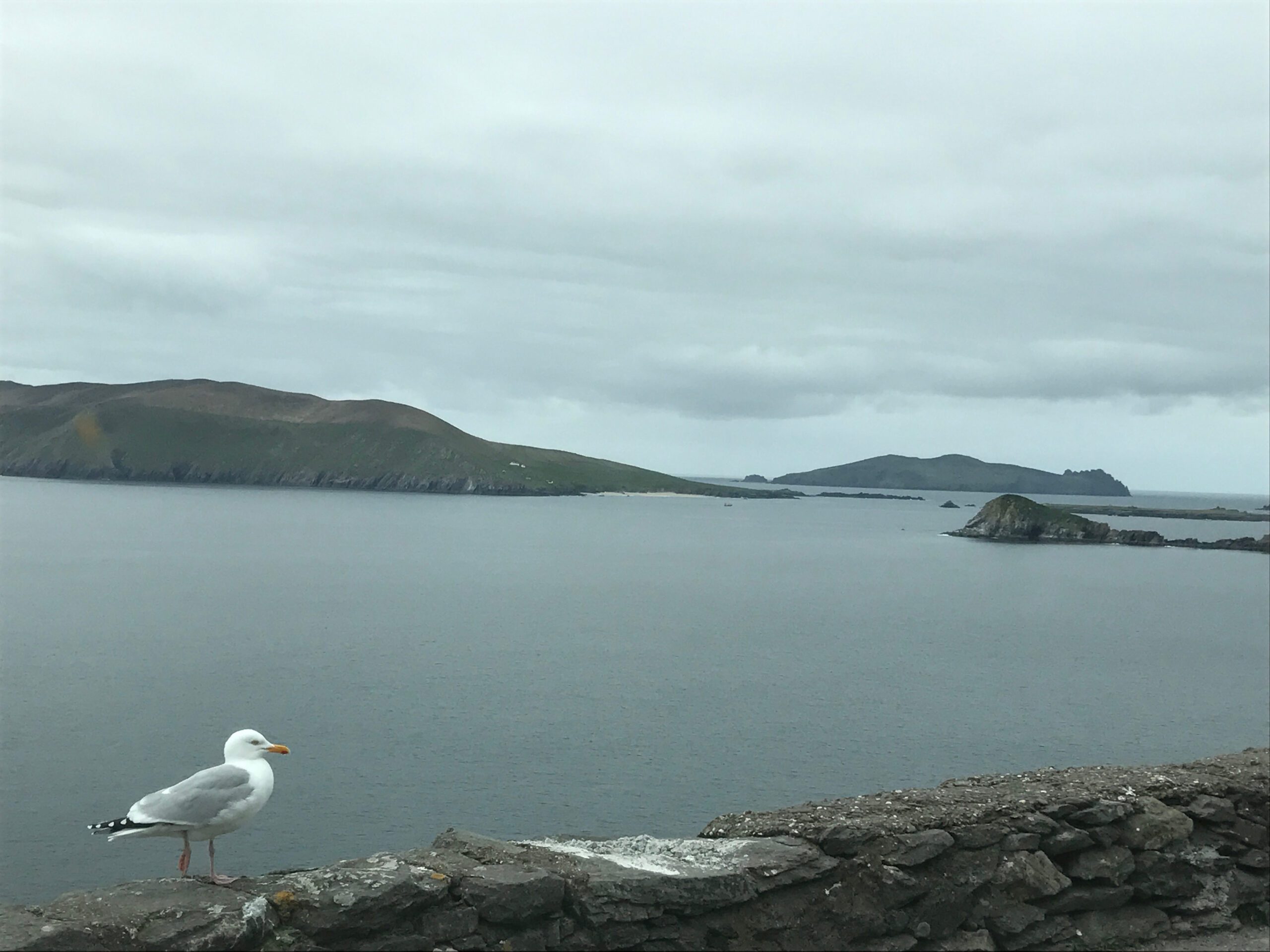 Blasket Islands